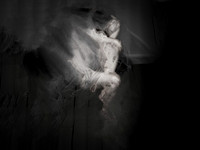 210317-2-1