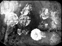 80-11