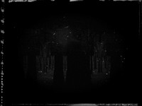 03 tx-13