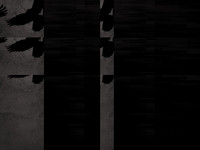5-46
