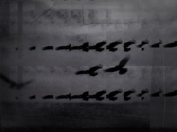 5-64