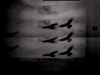 5-12