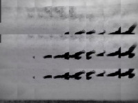5-57