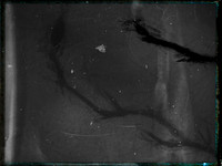 04-26