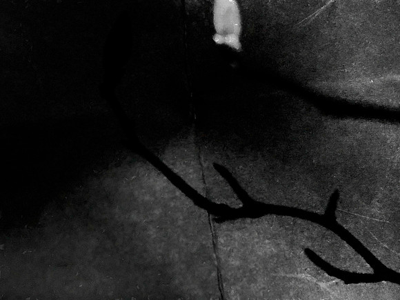 04-38