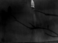 04-17