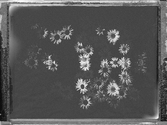 81-163