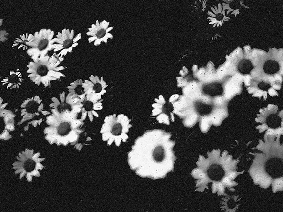 81-97