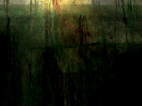 231116-1-1
