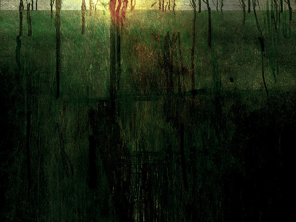 231116-1-5