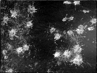 81-12