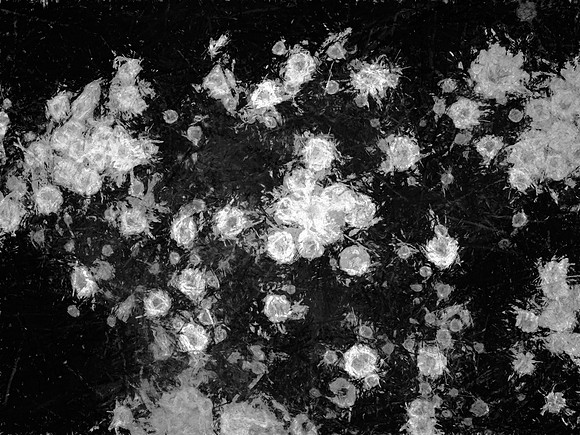 81-39