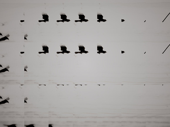27-169