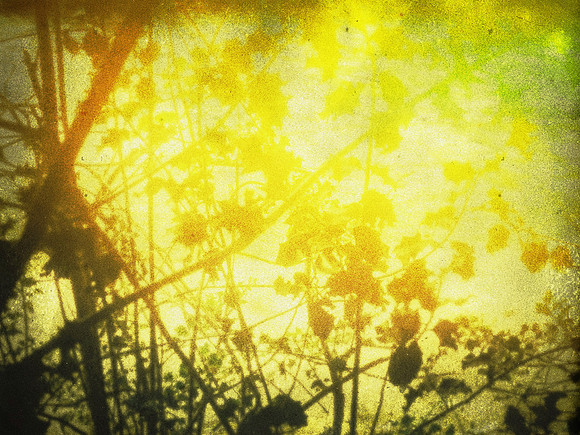 03-17