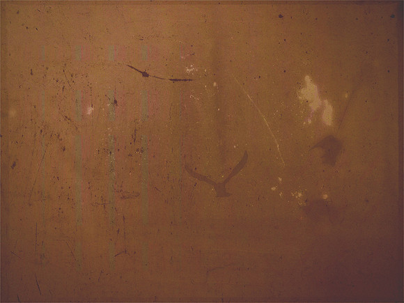 29-6