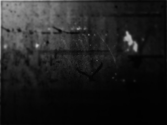 29-91