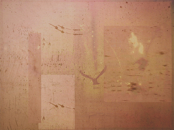 29-55