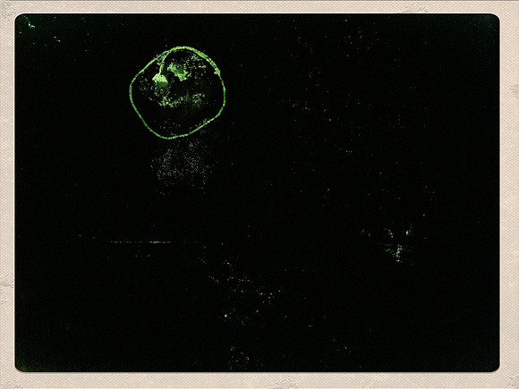5-34