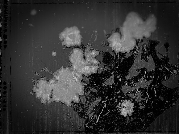 17-53