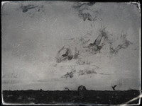 4-64