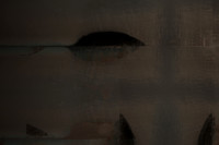 210116-8