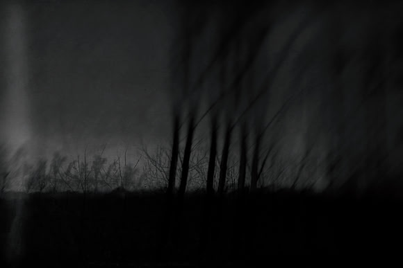 291114 #252-2