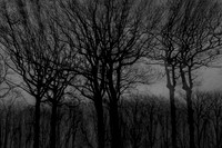 011214 #166-2-2-3