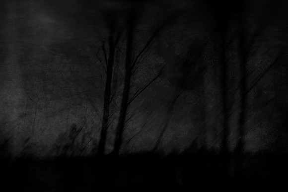 291114 #238-3-2