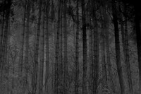 chrisfriel-3