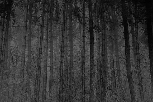 chrisfriel-3