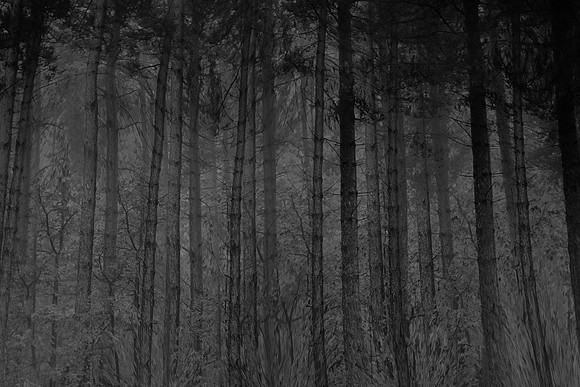 chrisfriel-3-2