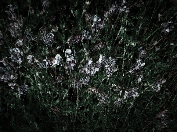 190616-5-2