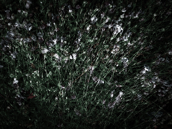 190616-5-12