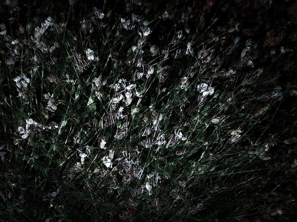 190616-5-7
