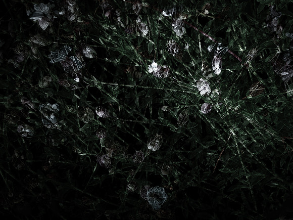 190616-5-10