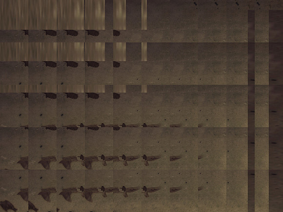 2-44