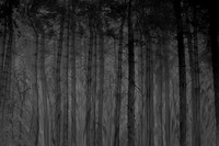 chrisfriel-3-4
