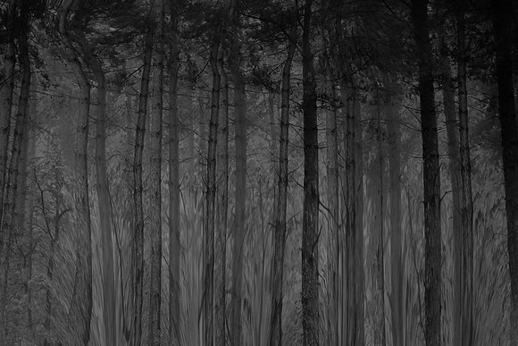 chrisfriel-3-4