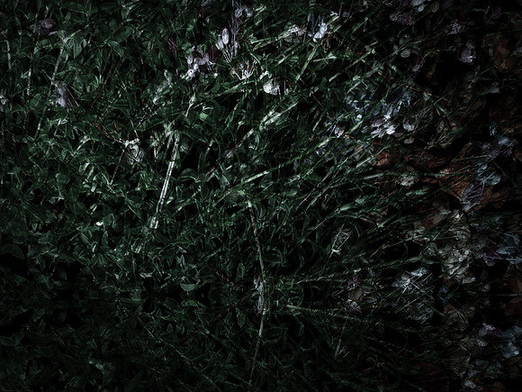 190616-5-21