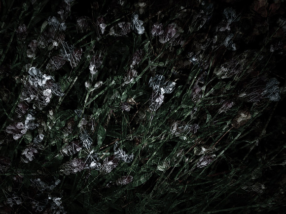 190616-5-4