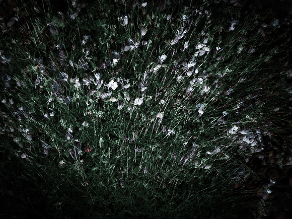 190616-5-18