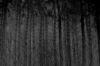 chrisfriel-3-3