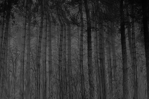 chrisfriel-3-3