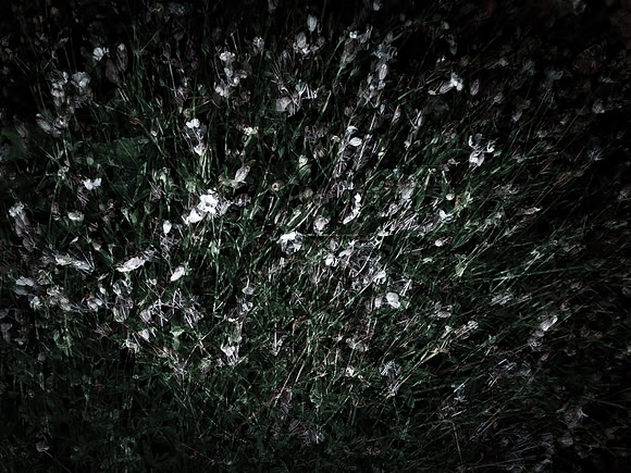 190616-5-6