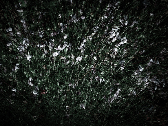 190616-5-13