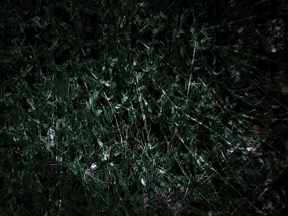 190616-5-20