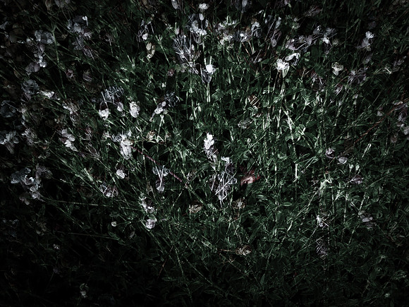 190616-5-15