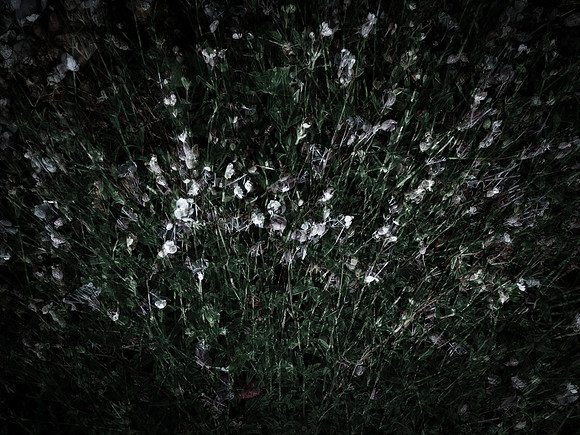 190616-5-3