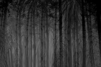chrisfriel-3-5