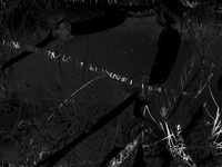 220316-2-18